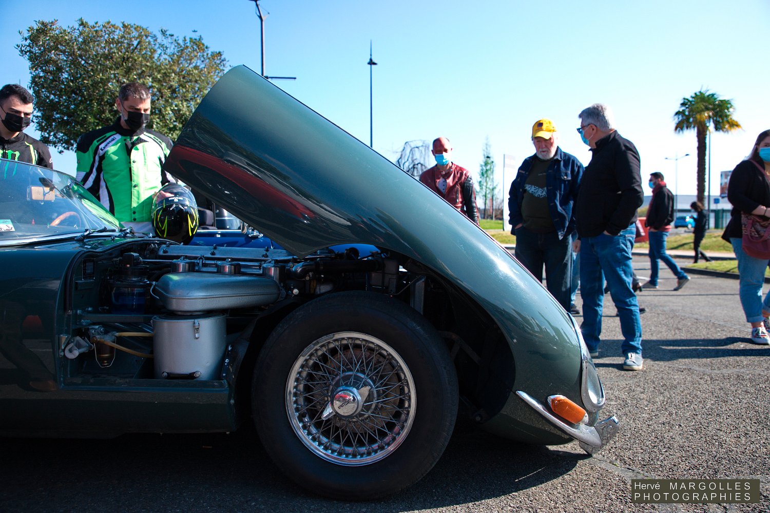 Jaguar Type E-02.jpg